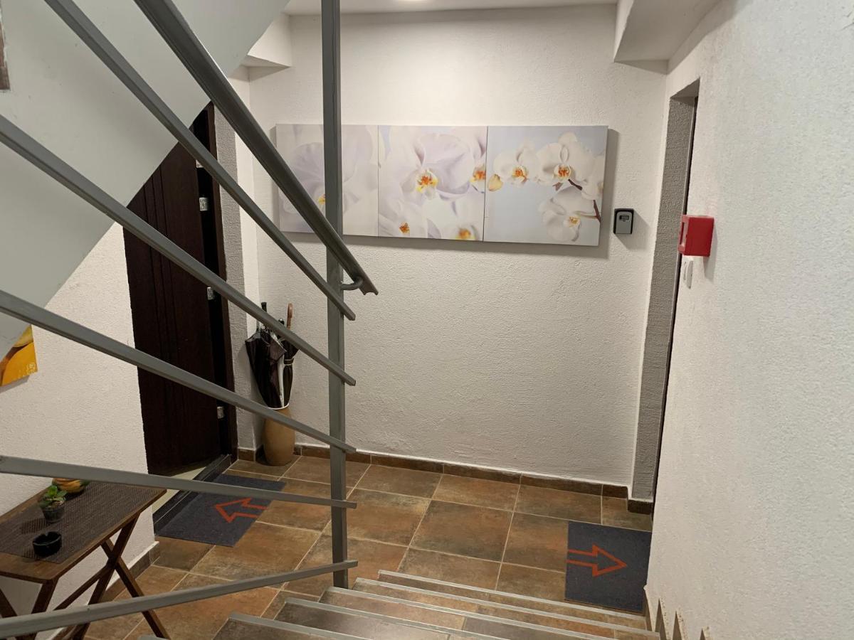 A6 Apartment 诺威萨 外观 照片