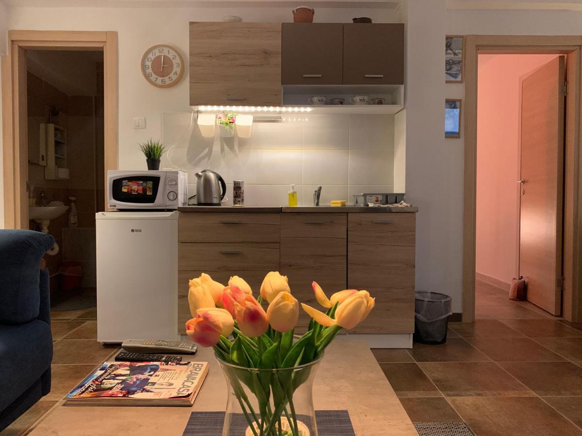 A6 Apartment 诺威萨 外观 照片